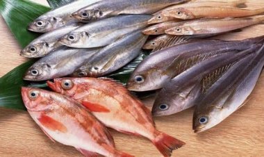 تفسير حلم السمك للمتزوجين