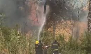 عاجل.. نشوب حريق داخل حديقة المنتزه التاريخية ببورسعيد 