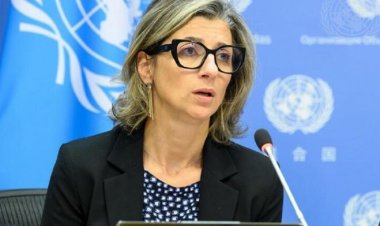 مقررة الأمم المتحدة للأراضي الفلسطينية: ما نراه في غزة هو مجموعة من جرائم الحرب غير المسبوقة