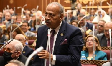 عضو بالشيوخ: استخدام أمريكا حق الفيتو يمنح شرعية لجرائم الاحتلال الإسرائيلي