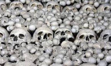 بسبب «الزومبي».. إعلان الطوارئ في «سيراليون»