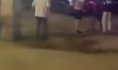 القبض على صاحب مغسلة أنهى حياة كلب في القاهرة 