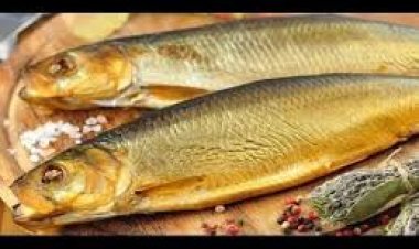 بمناسبة شم النسيم.. التموين تطرح رنجة درجة أولى بسعر 160 جنيهًا للكيلو