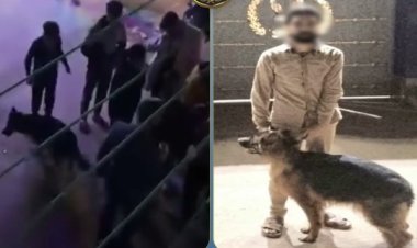 كشف لغز فيديو "ترويع المسنين" بالأسكندرية.. الأمن يضبط المتهم والكلب "غير المرخص"