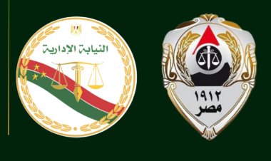 النيابة الإدارية تتولى الإشراف القضائي على انتخابات نقابة المحامين
