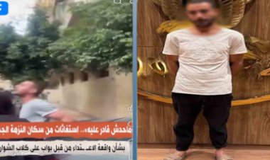بسبب عقر نجل شقيقه.. ضبط حارس عقار تعدى على كلاب ضالة بالنزهة بعد مشادة مع الأهالي