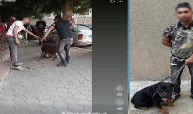 ضبط المتهم في واقعة تعدي كلب على آخر بالجيزة