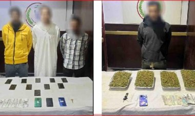 القبض على 4 أشخاص بحوزتهم 3 كليو هيدرو وحشيش بمنشأة ناصر ومدينة بدر