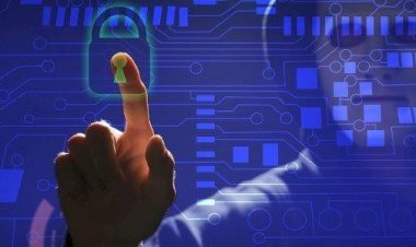 المؤشر الدولي لحماية البيانات يكشف تعرض نصف شركات العالم لهجوم سيبراني