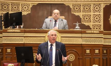 «الشيوخ» يحيل «صادرات الحاصلات الزراعية» للجان النوعية