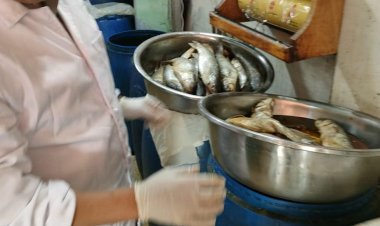 محافظ الغربية: رقابة مشددة على الأسواق ومحلات بيع الأسماك المملحة في شم النسيم