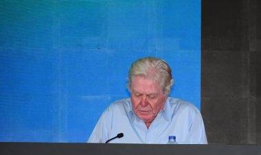 مهرجان القاهرة السينمائي الدولي يكشف عن تفاصيل دورته الـ46 في مؤتمر صحفي حاشد