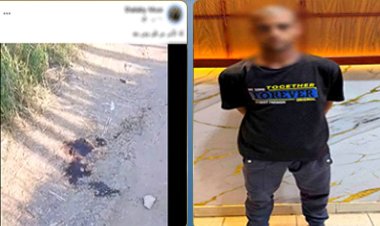 عامل يستدرج صديقه ويقتله للاستيلاء على أمواله بالشرقية.. وحيلة لإيهام الشرطة بدهس قطار