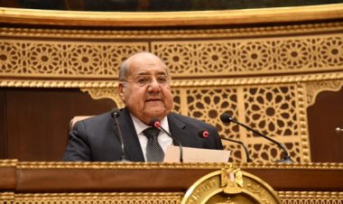 رئيس «الشيوخ» يحيل عددًا من تقارير اللجان النوعية إلى الحكومة