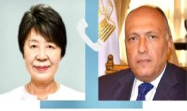 خارجية اليابان: نتطلع لتعزيز العلاقات مع مصر في ظل ولاية الرئيس السيسي الجديدة