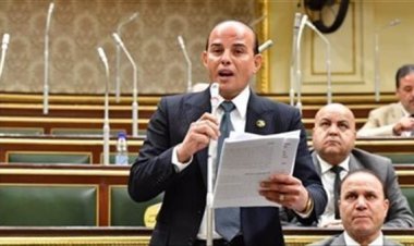 أمين سر «اقتصادية النواب»: صندوق ذوي الإعاقة صادر منذ 2020 وليس له مدير تنفيذي