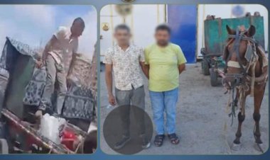 ضبط عاطلين سرقا صندوق قمامة تابعًا لإحدى شركات النظافة بالإسكندرية