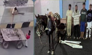 أقل من ٢٤ ساعة ...ضبط 4 متهمين بسرقة مهمات من أحد قطارات السكك الحديدية بالشرقية وبيع المسروقات لمخزن خردة