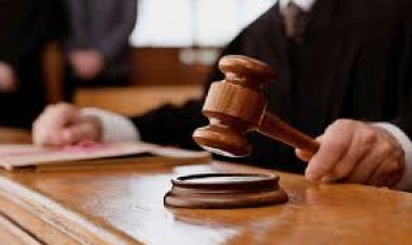 حبس التيك توكر محمد آل باتشينو سنتين وتغريمه 100 ألف جنيه