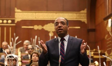 «برلماني»: الرئيس السيسي أولى ملف حقوق الإنسان اهتماما خاصا