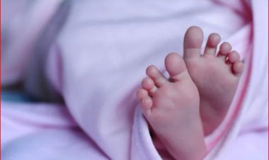 سيدة تخطف رضيع من ربة منزل بعد وفاة طفلها 