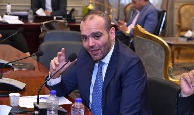 «برلماني»: إنجازات الرئيس السيسي في الزراعة ساهمت في تعزيز الأمن الغذائي لمصر 