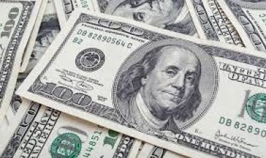 وزير الزراعة: نصدر لأكثر من 160 دولة حول العالم