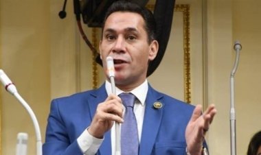 «برلماني»: مشكلات المعديات النيلية «خطر مزمن» يحتاج إلى مواجهة حاسمة