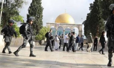 نيوزيلندا تحظر دخول مستوطنين إسرائيليين أراضيها