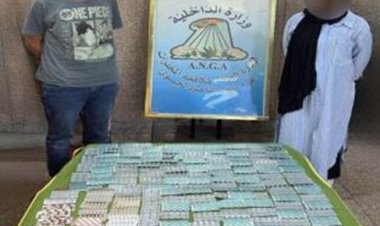 إحباط محاولة جلب أقراص مخدرة داخل طرد بريدى عبر إحدى الموانئ الجوية