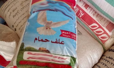 ضبط 167 شيكارة أعلاف مخلوطة بالقمح المحلي داخل مدشة أعلاف بمركز فاقوس