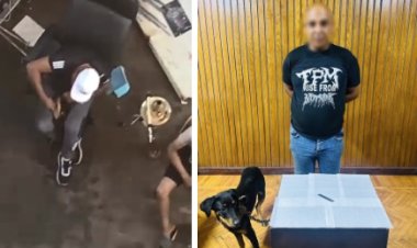 ضبط بائع خردة بالإسكندرية تعدى على كلب بسلاح أبيض فيديو متداول.. والتحفظ على الحيوان والسلاح