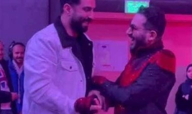 اتهامات بالإساءة للمصريين.. تفاصيل الهجوم على أحمد حلمي