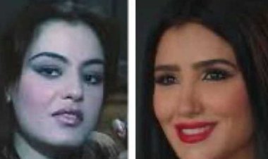 إعلامية كويتية تتهم مسلسل «إش إش» بسرقة قصة فيلم لـ شريهان