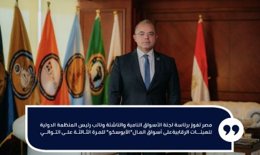 مصر تفوز برئاسة لجنة الأسواق النامية والناشئة