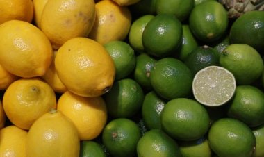 لأول مرة فى تاريخه.. الليمون يتفوق على التفاح ويصل سعر الكيلو  إلى 150 جنيه