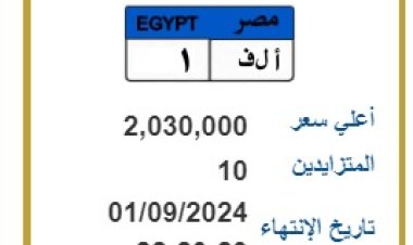 من 300 ألف لـ 2 مليون جنيه.. أسعار اللوحات المعدنية المميزة 