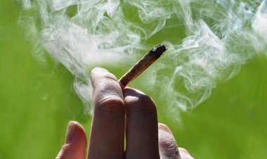 طبيب علاج إدمان: الحشيش يتواجد في الجسم لمدة 6 أسابيع