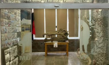 عاش قبل 80 مليون عام.. جامعة المنصورة تكتشف "تمساح الوادي" أقدم التماسيح البحرية في التاريخ