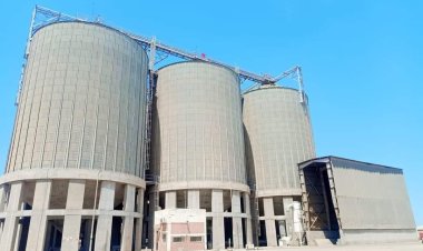 "محصول القمح" صوامع الدقهلية تستقبل 500 طن في اليوم الأول