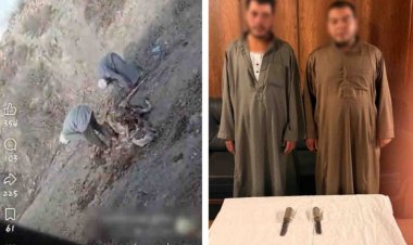 الأمن يكشف ملابسات فيديو سلخ "حمار نافق" بالبحيرة.. وضبط عاملين استخدما الجلد في صناعة الطبول