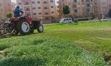 استكمال أعمال صيانة المسطحات الخضراء والأشجار بمدن الشيخ زايد والشروق ودمياط الجديدة