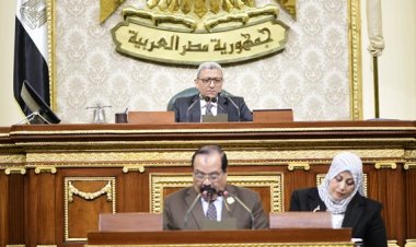 النائب أحمد صالح يستعرض تقريرًا بشأن زيادة رسوم جواز السفر