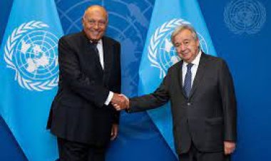 غدا.. وزير الخارجية يعقد مؤتمرًا صحفيًا مع الأمين العام للأمم المتحدة