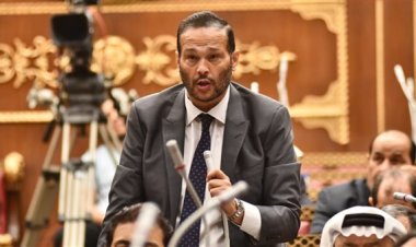 النائب محمد حلاوة يطالب بربط التنمية الزراعية باحتياجات القطاع الصناعي