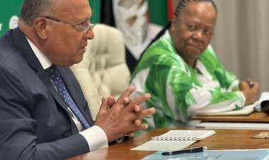 وزير الخارجية يجرى مشاورات سياسية مع نظيرته الجنوب إفريقية