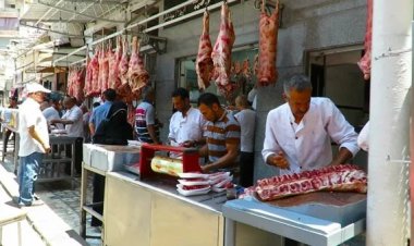 تحرك برلماني بشأن ارتفاع أسعار كيلو اللحم لـ 500 جنيه والبانيه لـ 250 جنيه