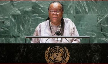 جنوب إفريقيا تدعو جميع الدول لوقف تمويل الحرب الإسرائيلية في غزة