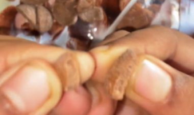 اكتشاف ديدان بيضاء داخل ماركة شوكولاتة شهيرة