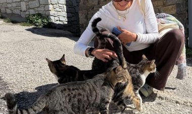 قطط الشوارع في اليونان تخطف قلب تارا عماد أثناء رحلتها السياحية